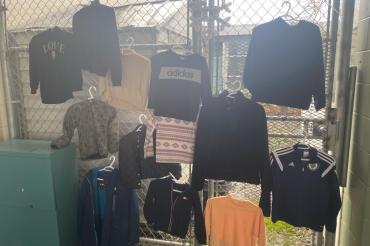lost and found pic 4