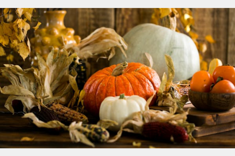 Thanksgiving - No school 